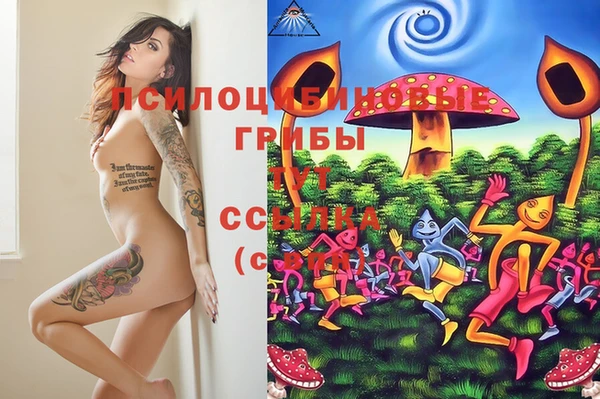 MDMA Premium VHQ Абаза