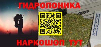 гашик Анжеро-Судженск