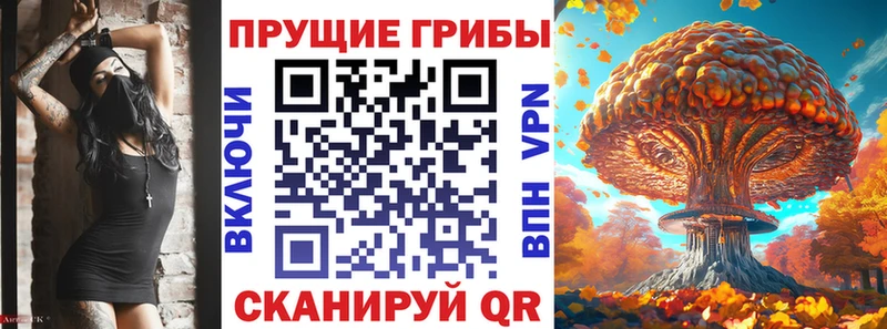 Псилоцибиновые грибы Psilocybine cubensis  hydra tor  сайты даркнета формула  где купить наркоту  Тутаев 