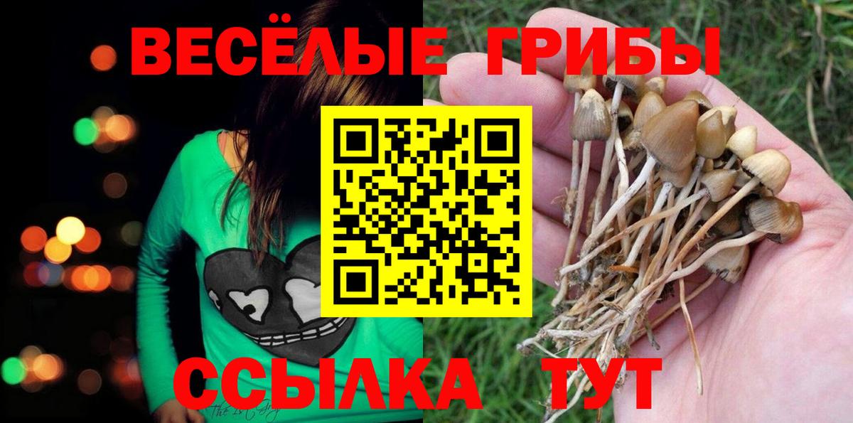 Псилоцибиновые грибы Cubensis  где можно купить   Тутаев  Вход с VPN 